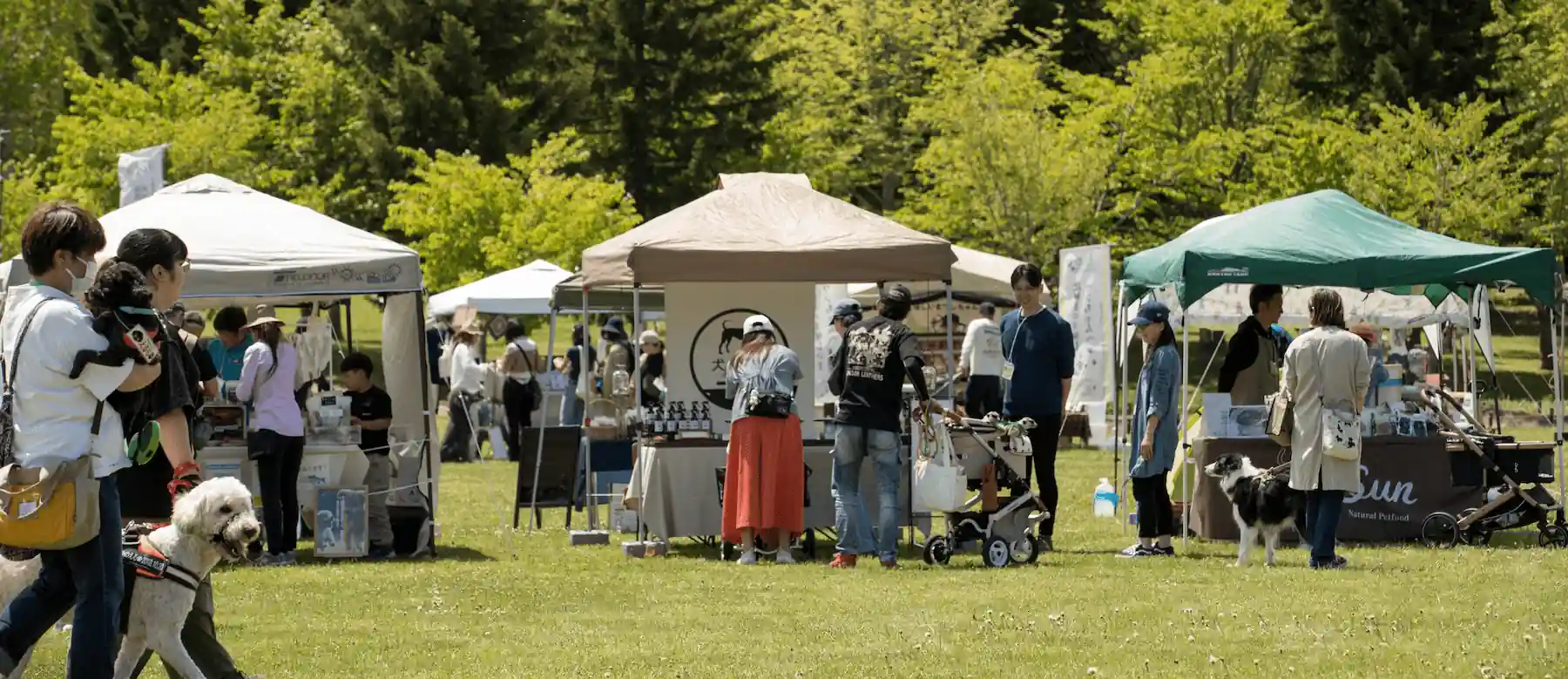 ヒーローイメージ